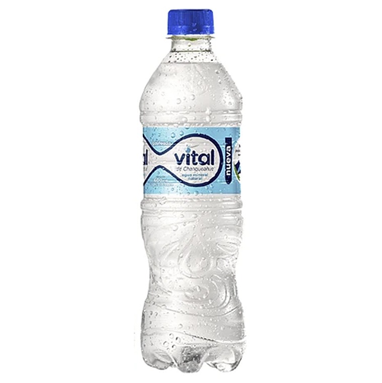 Agua Mineral Vital Con Gas 500ml